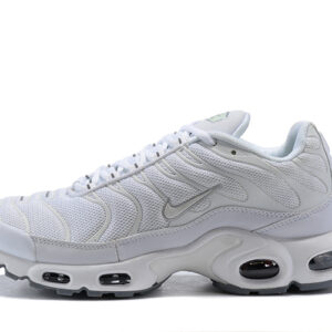 Nike Air Max Plus TN 1 
