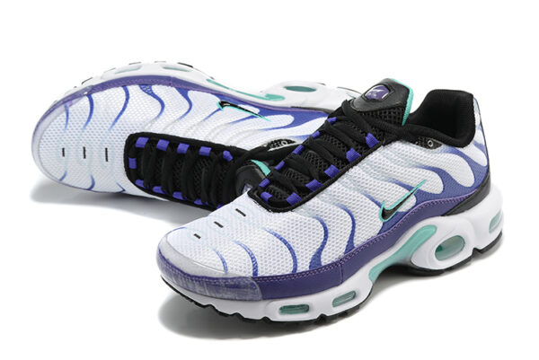 Nike Air Max Plus TN 1 