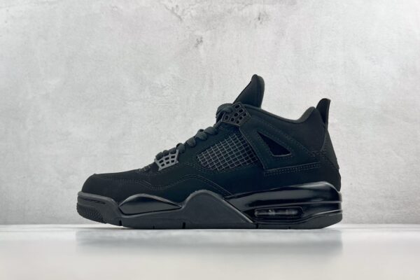 Nike Air Jordan 4 