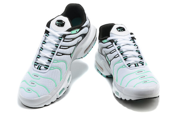 Nike Air Max Plus TN 1 