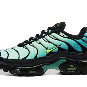 Nike Air Max Plus TN 1 