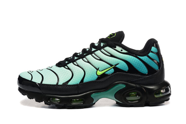 Nike Air Max Plus TN 1 