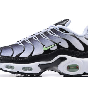 Nike Air Max Plus TN 1 