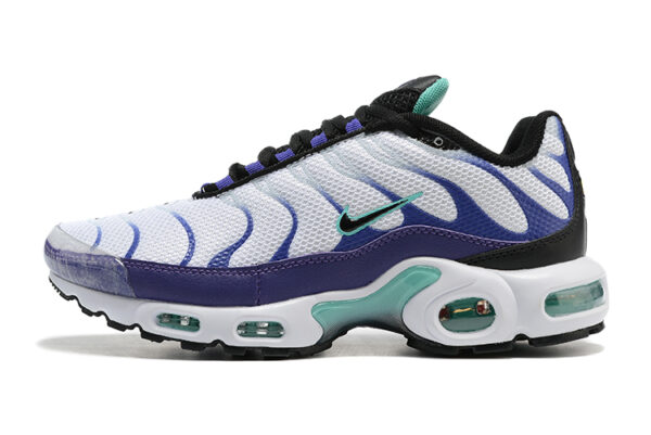 Nike Air Max Plus TN 1 