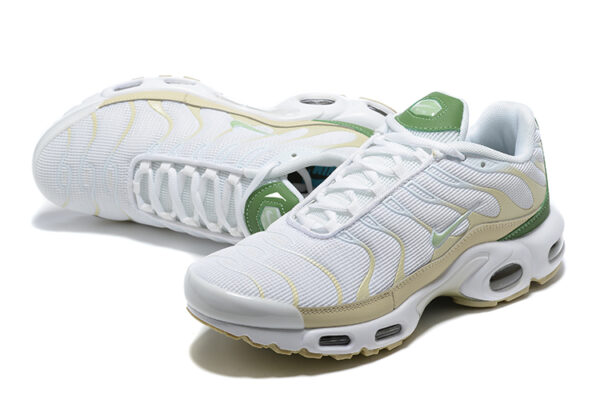Nike Air Max Plus TN 1 