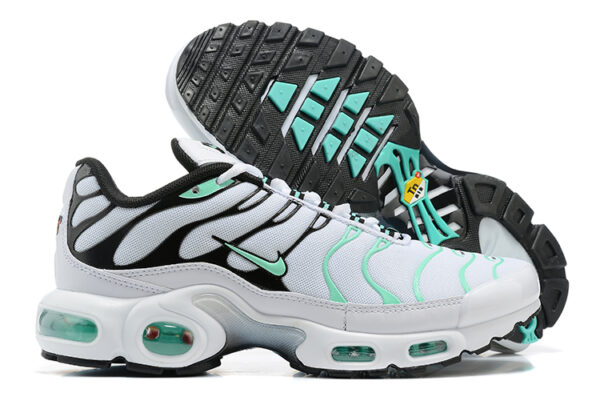Nike Air Max Plus TN 1 
