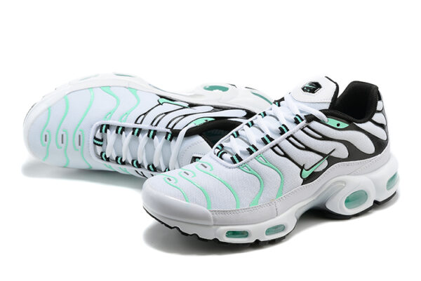 Nike Air Max Plus TN 1 