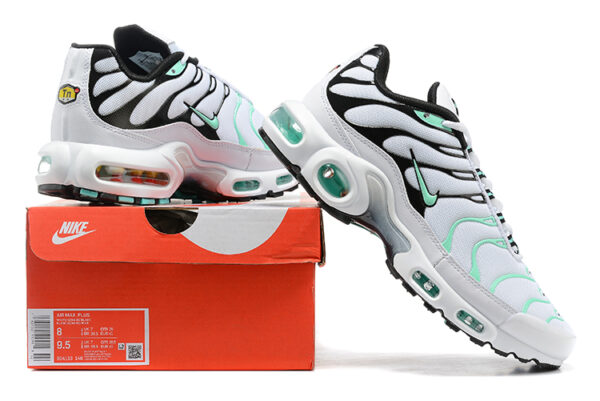 Nike Air Max Plus TN 1 