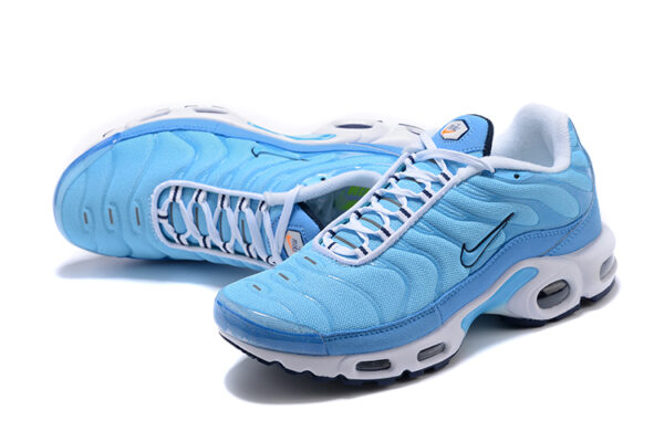 Nike Air Max Plus TN 1 