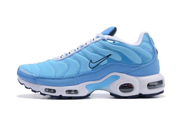 Nike Air Max Plus TN 1 