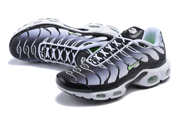 Nike Air Max Plus TN 1 