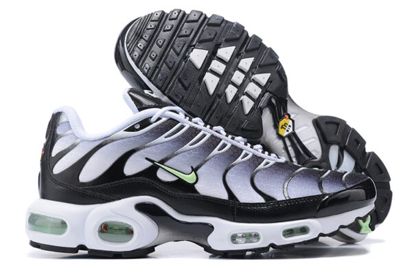 Nike Air Max Plus TN 1 
