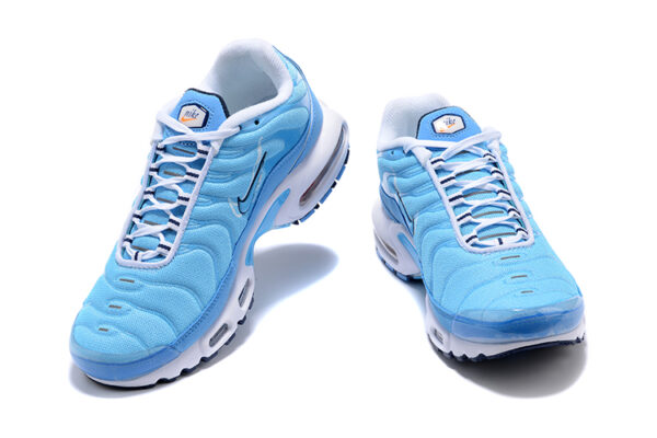 Nike Air Max Plus TN 1 