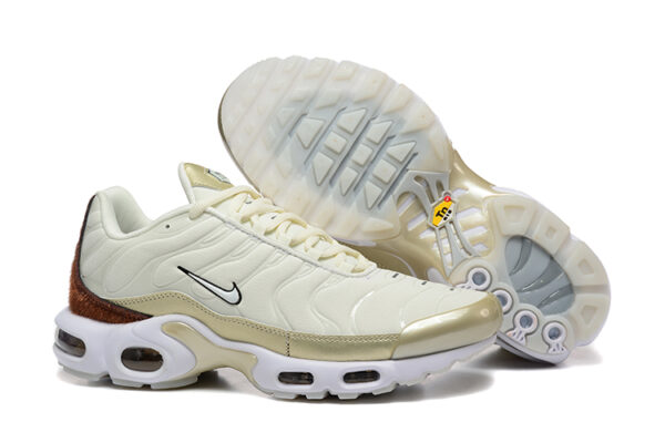 Nike Air Max Plus TN 1 