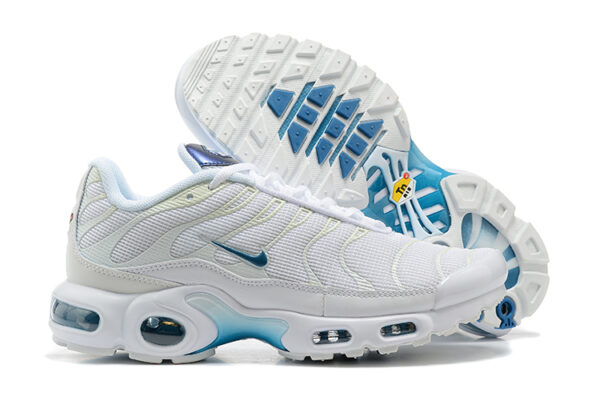 Nike Air Max Plus TN 1 