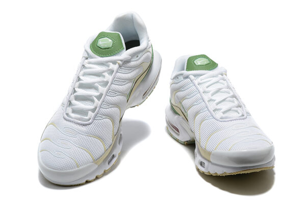 Nike Air Max Plus TN 1 