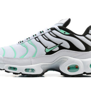 Nike Air Max Plus TN 1 