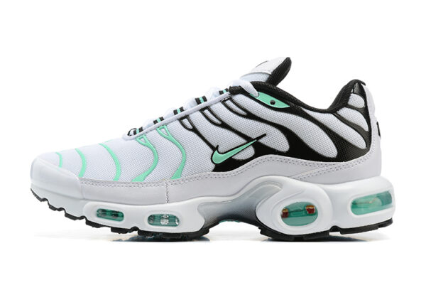 Nike Air Max Plus TN 1 